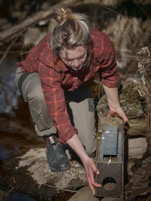 Chevalier Eagle naisten flanellipaita, Fox Red Checked