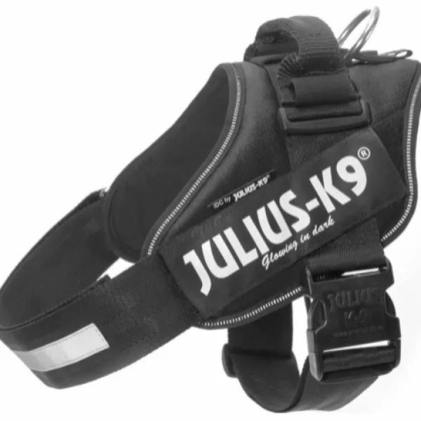 Julius K9 Julius-K9 IDC Power -valjaat (63-85 cm)
