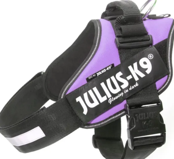 Julius K9 Julius-K9 IDC Power -valjaat (63-85 cm)