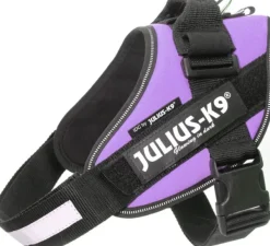 Julius K9 Julius-K9 IDC Power -valjaat (58-76 cm)